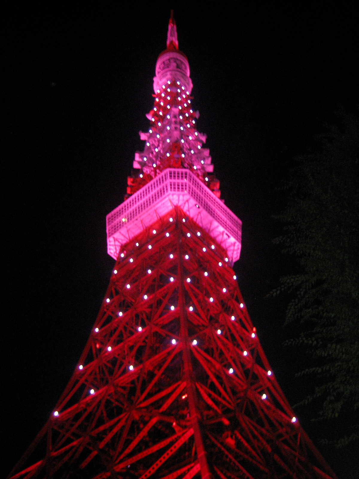Pink Tokyo Tower, Japon