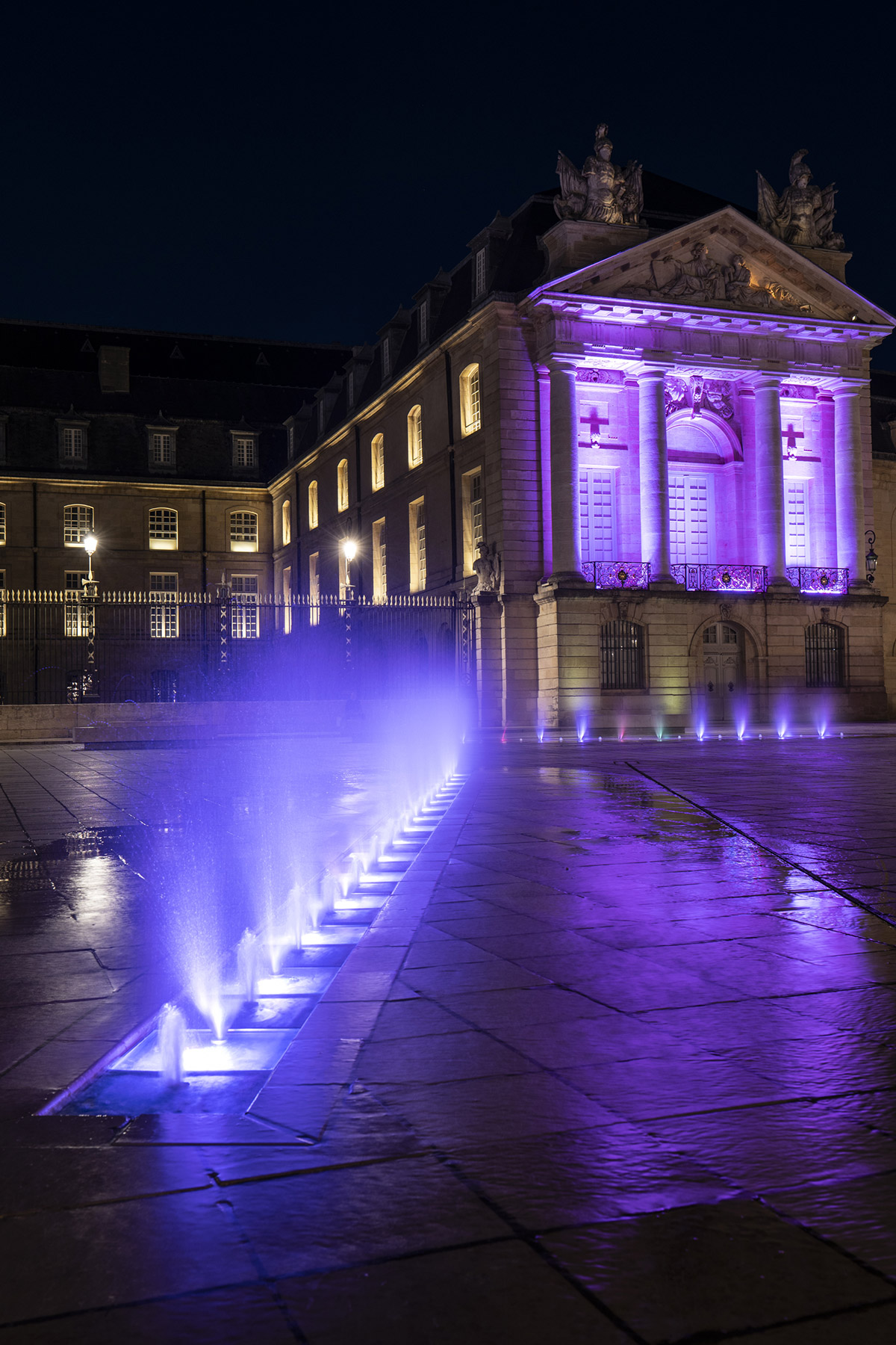 Musée des Beaux Arts, Dijon, France, 2021