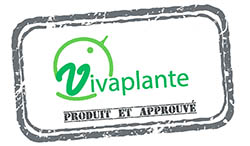 LOGO VIVAPLANTE 250PX