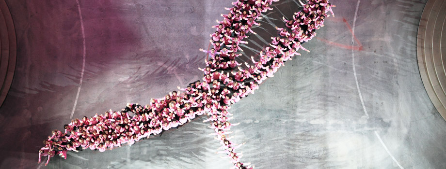 entete octobrerose